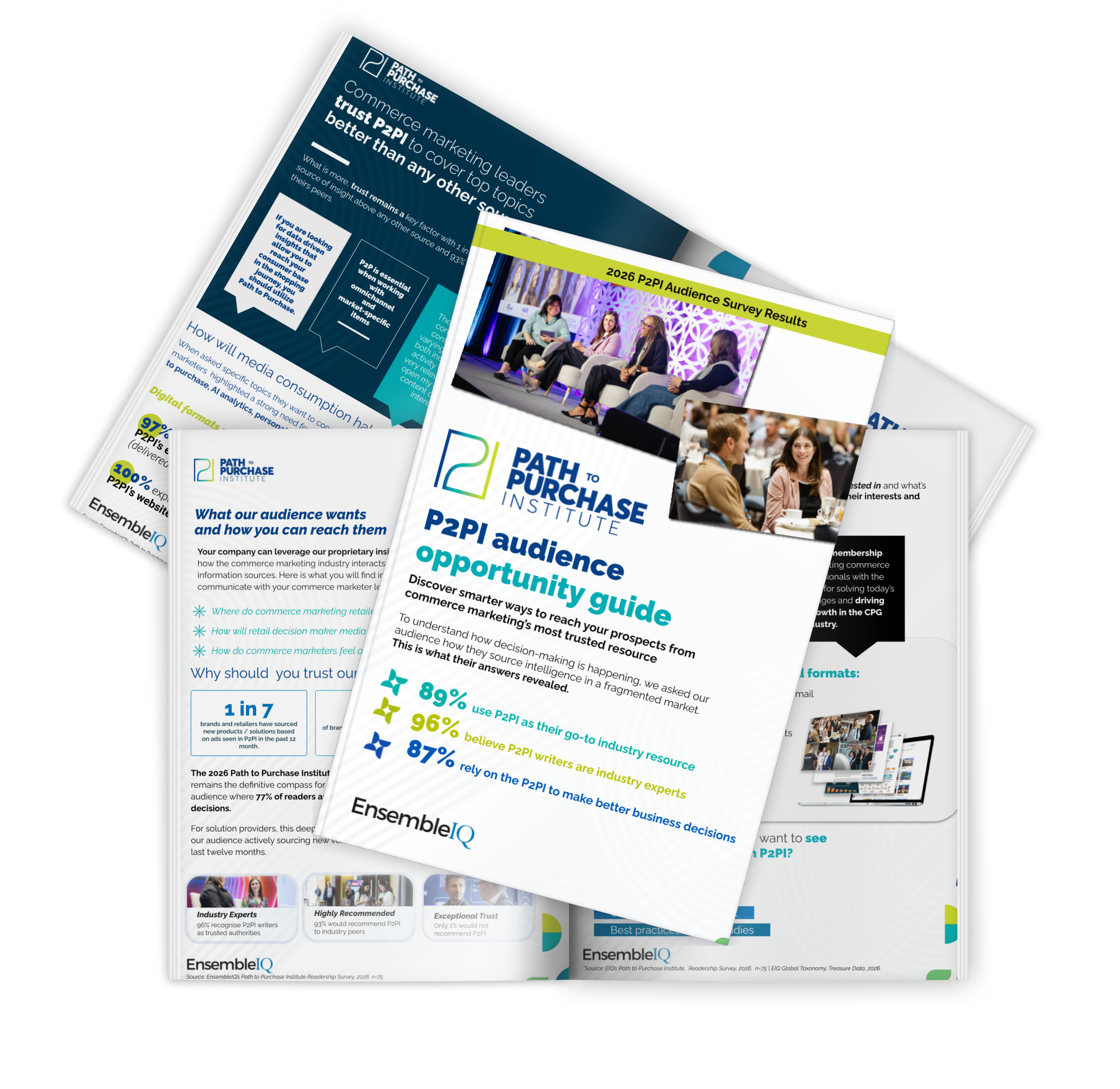 2026 P2PI Audience Opportunity Guide Preview