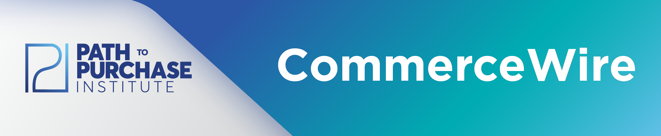 P2PI NL Banner