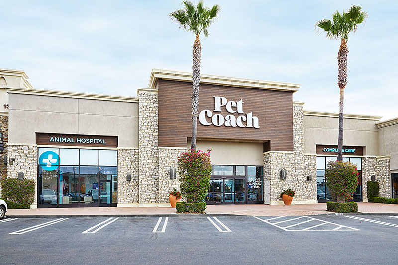 petcoach grooming prices