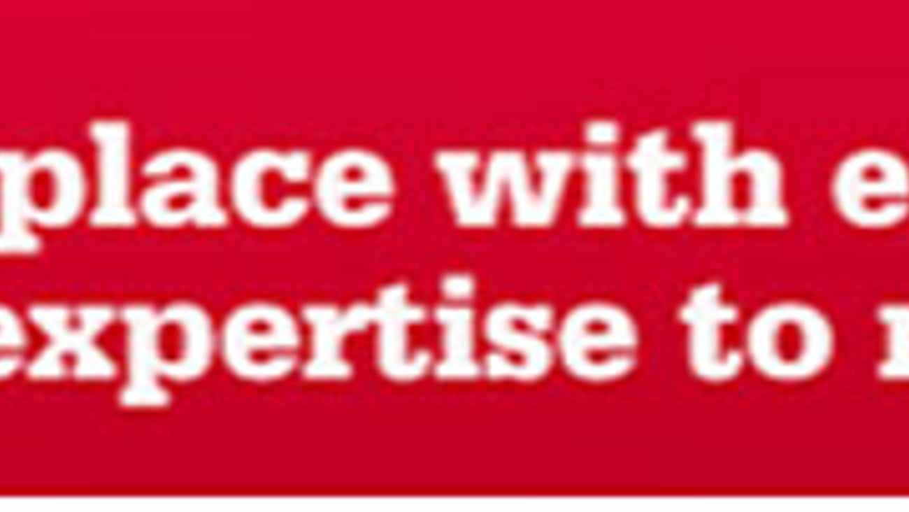 Ace Hardware 'Endless Colors' Display Ad