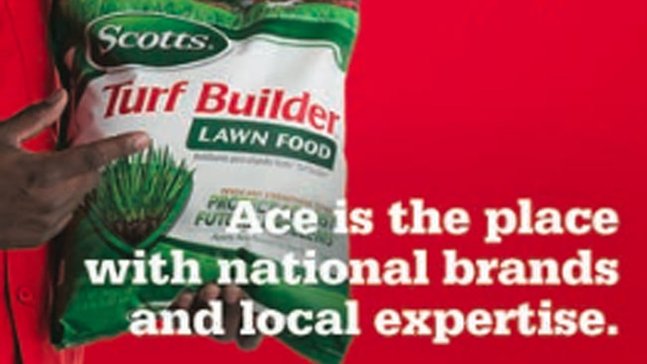 Ace Hardware 'National Brands' Display Ad