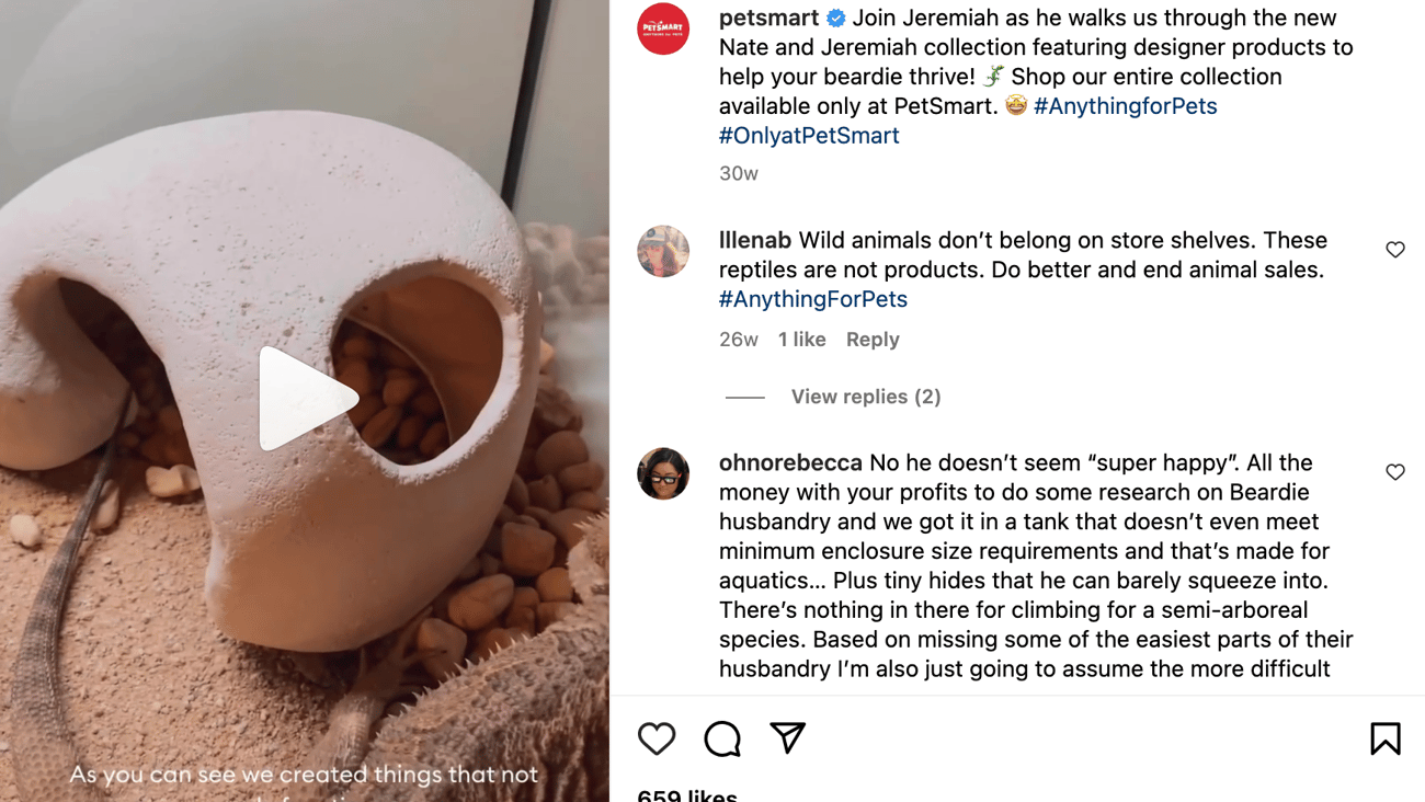 Nate + Jeremiah for PetSmart 'Help Your Beardie Thrive' Instagram Update