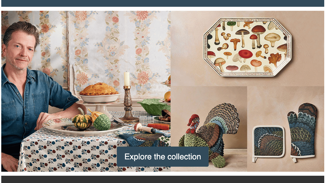 Target John Derian Thanksgiving Entertaining Collection Email Ad