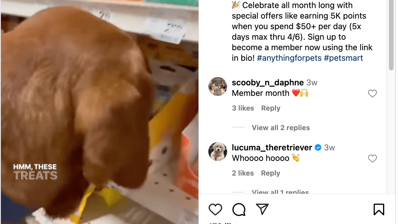 PetSmart 'Treat Rewards Members Month' Instagram Update
