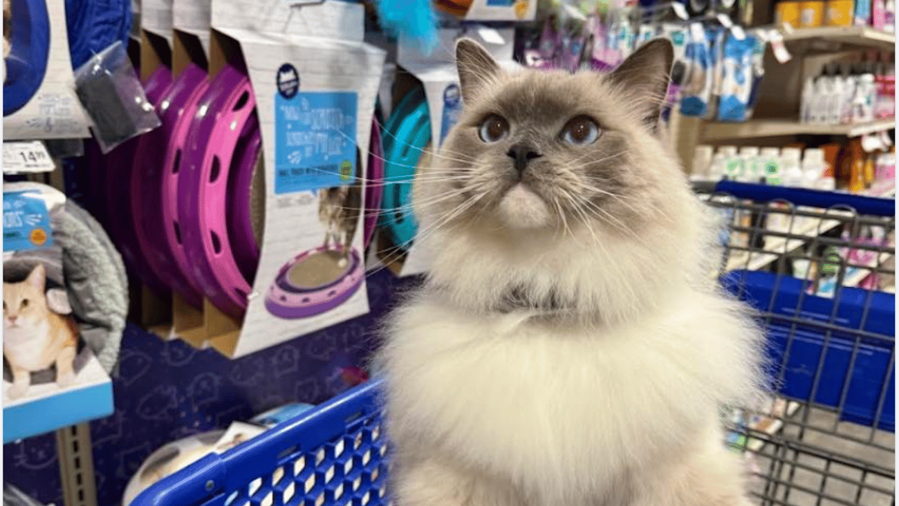 PetSmart 'Treats Rewards Members Month' Facebook Update