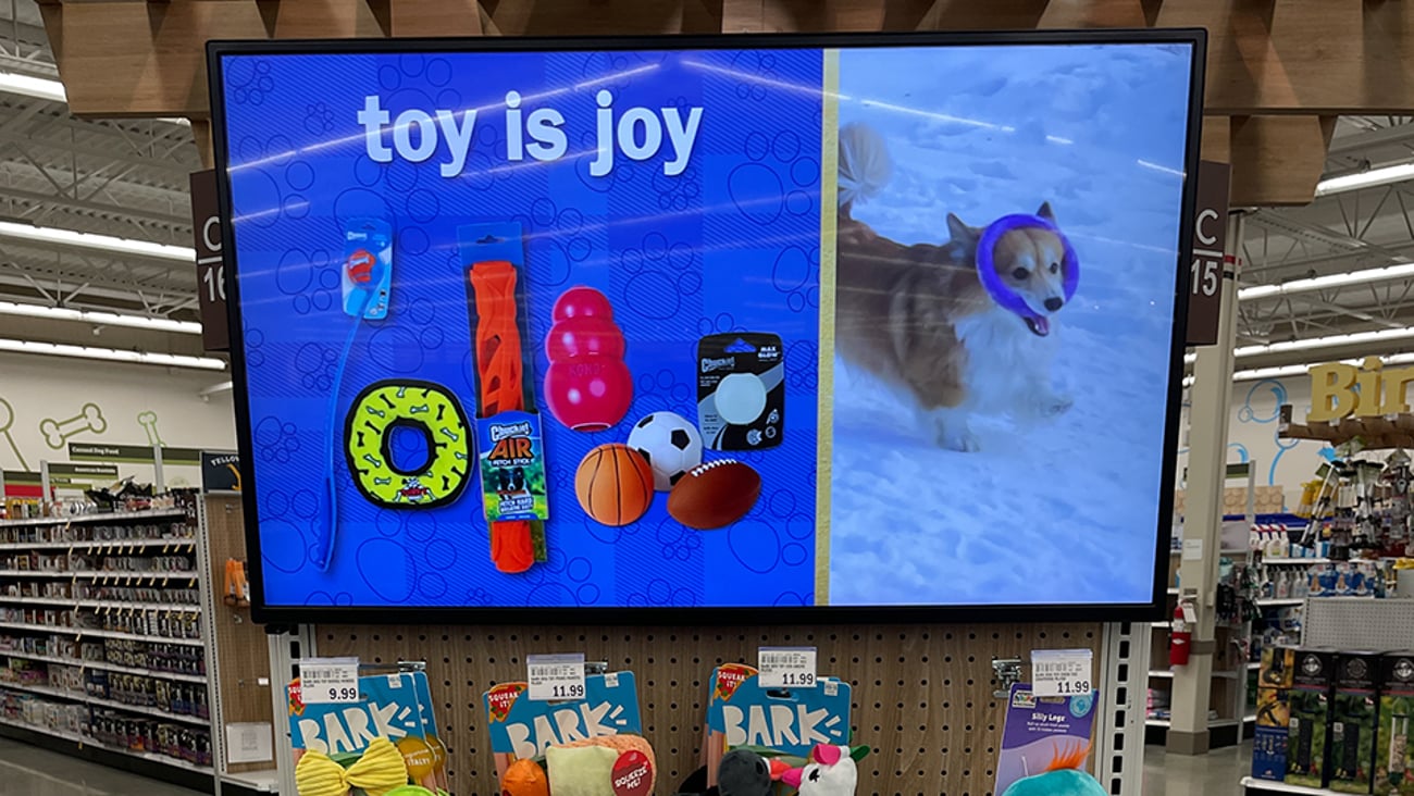 toy