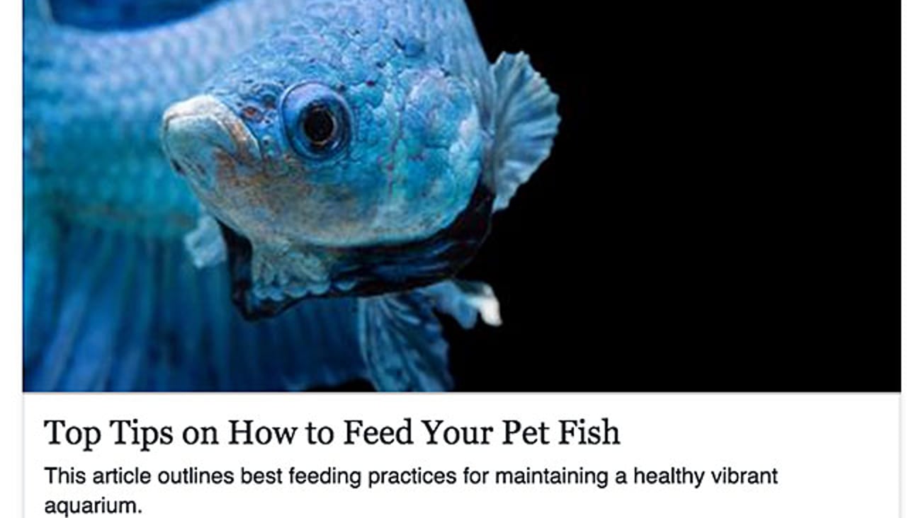 Petco 'How to Feed Your Pet Fish' Facebook Update