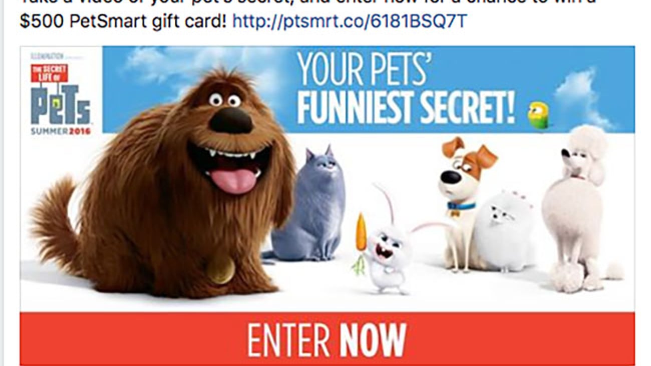 PetSmart 'Your Pets' Funniest Secret' Facebook Update