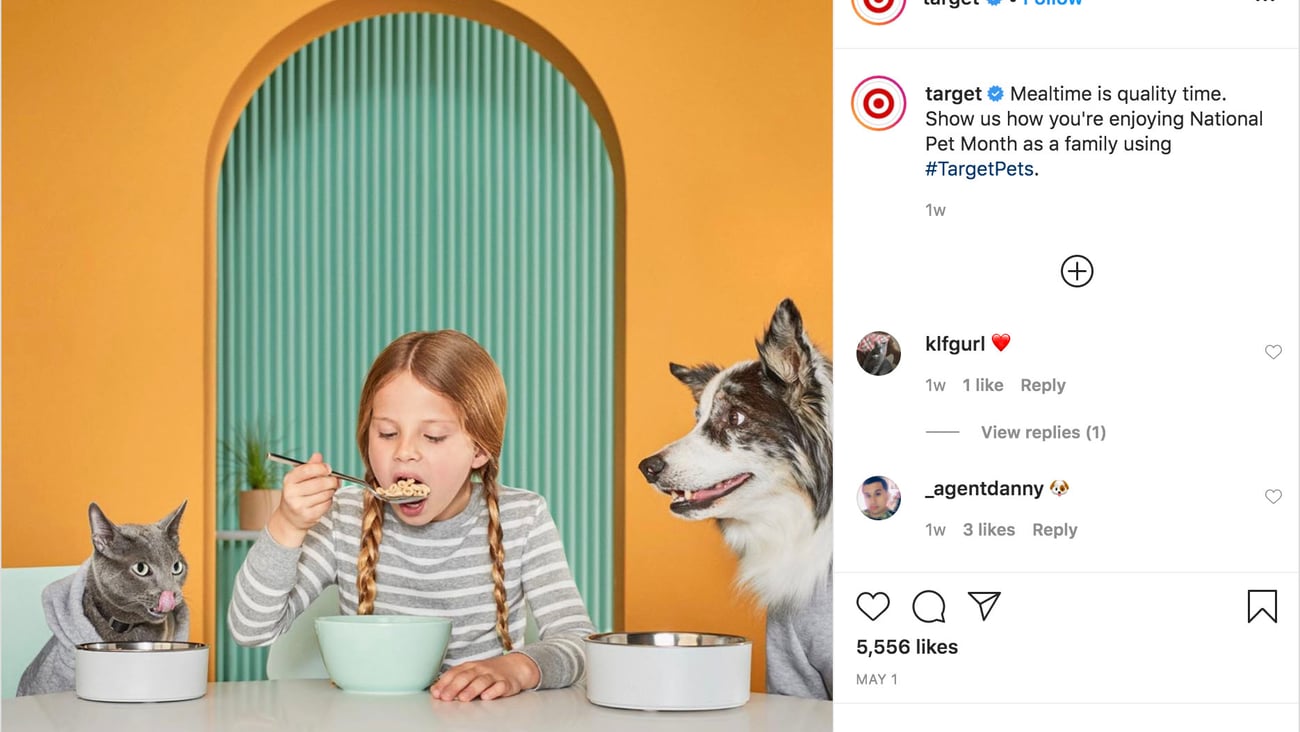 Target 'National Pet Month' Instagram Update