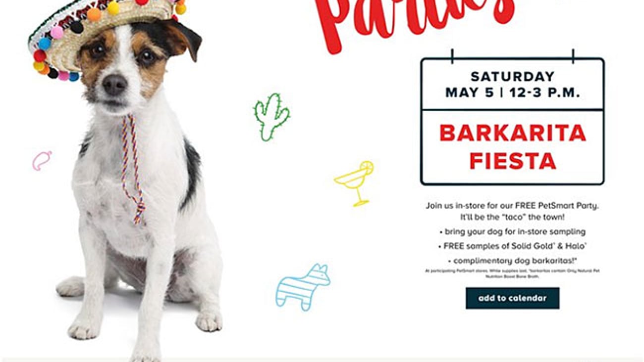 PetSmart 'Barkarita Fiesta' Digital Feature