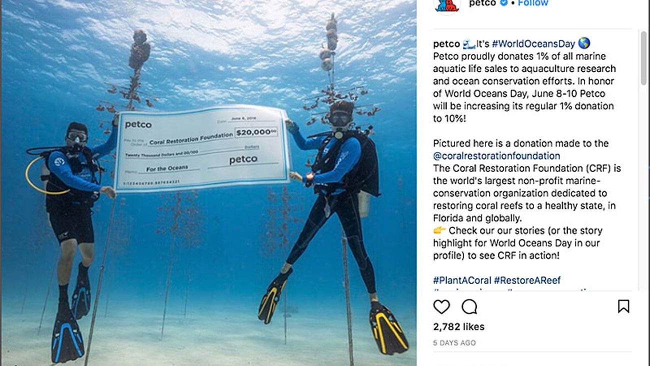 Petco #WorldOceansDay Instagram Update