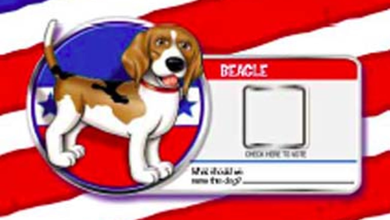H-E-B/Purina "Top Dog" Ballot
