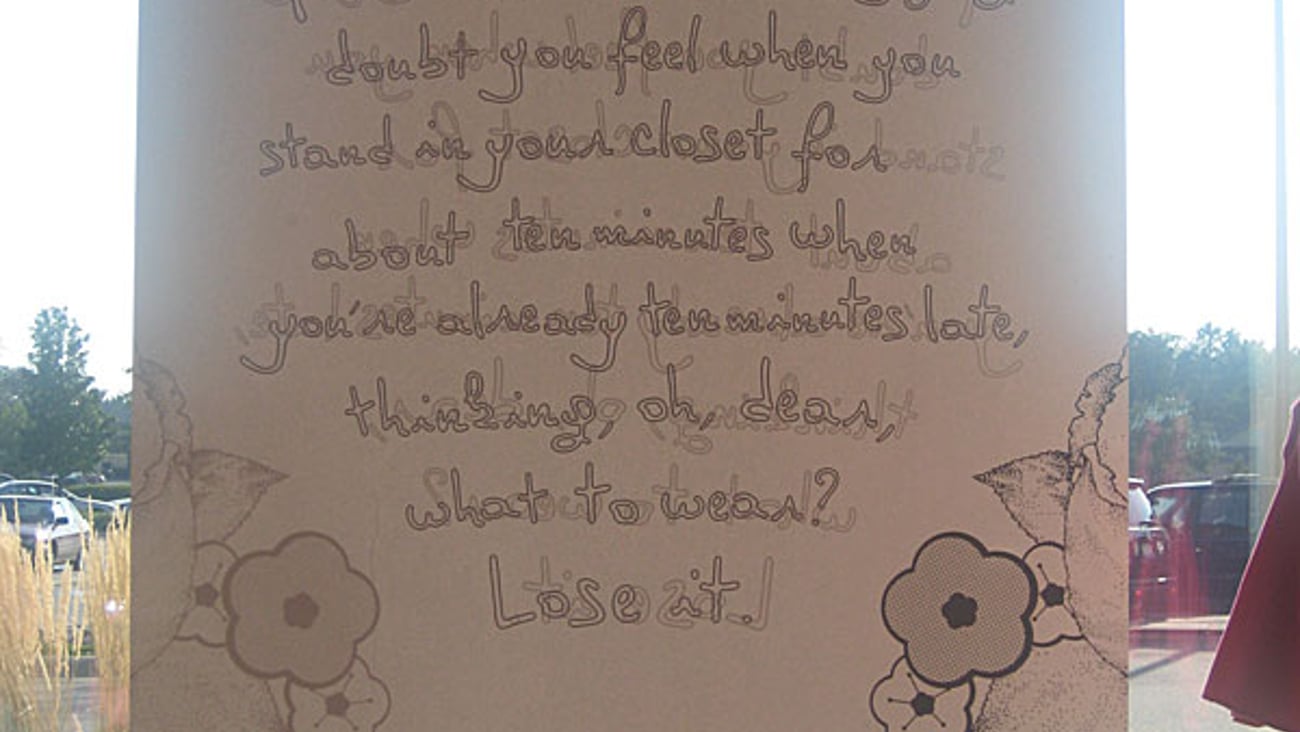 Steve & Barry's Dear Window Poster