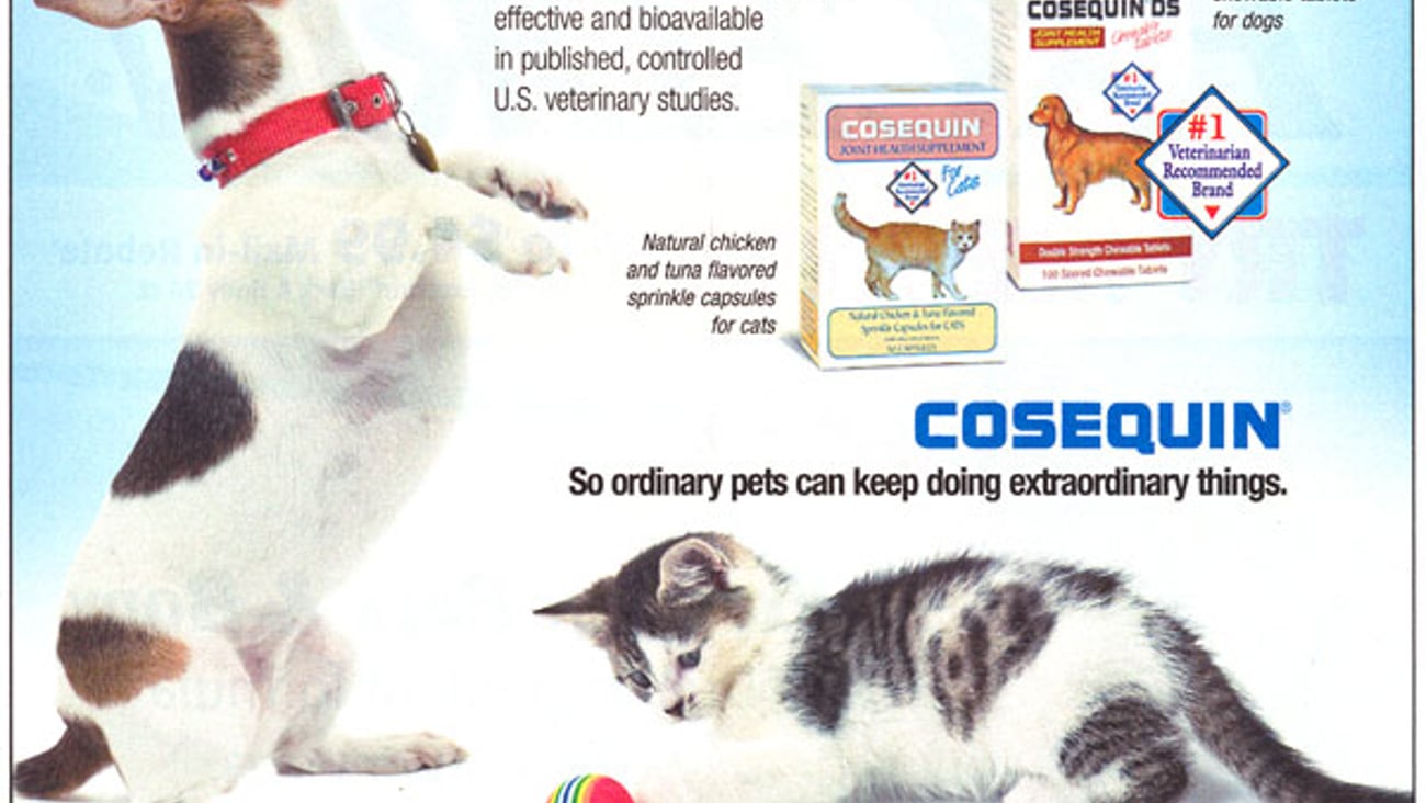 Cosequin Co-Equity FSI