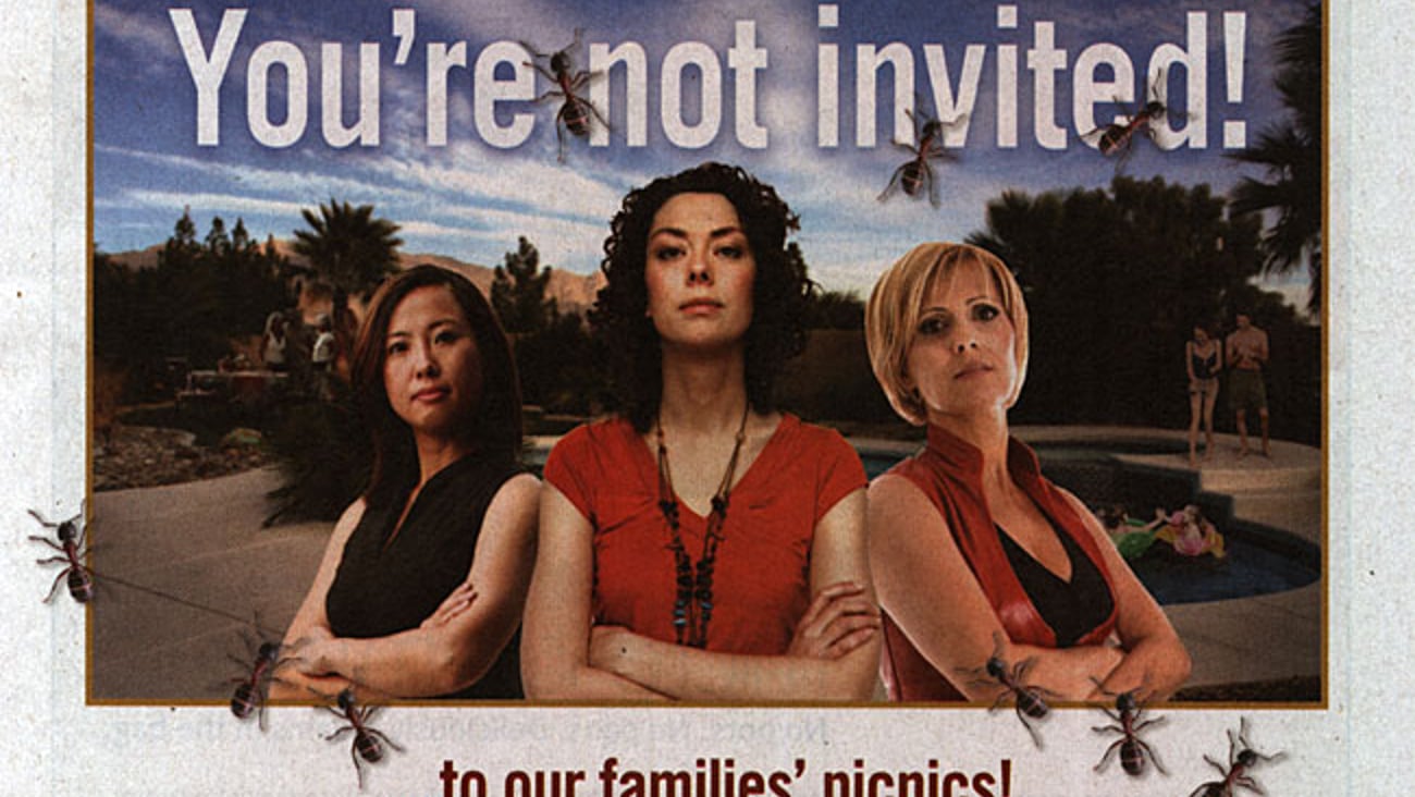 Central Garden & Pet 'No Bugs' Sweeps FSI