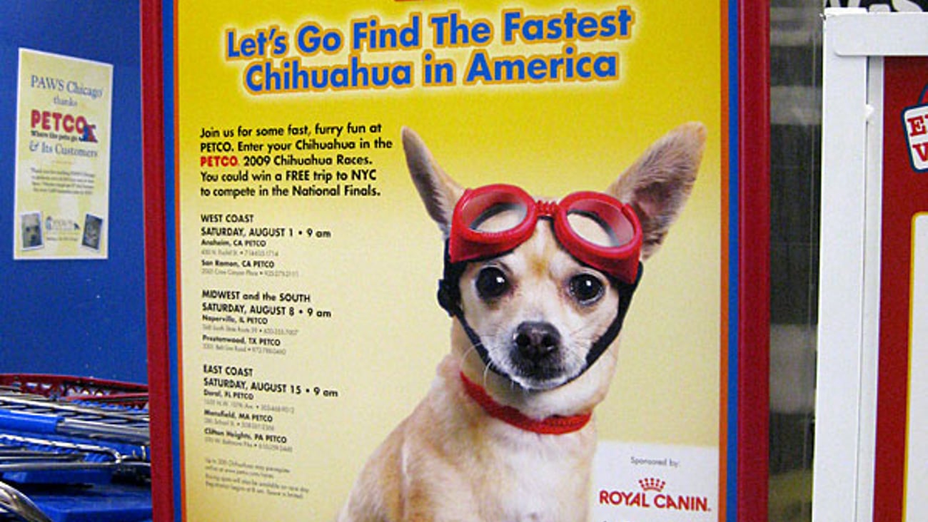 Petco 'Chihuahua Races' Stanchion Sign