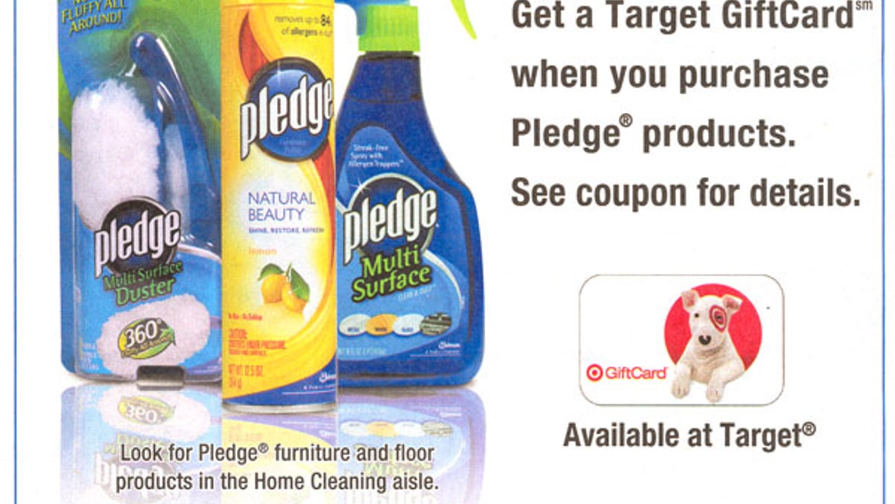 Pledge Target Co-Equity FSI