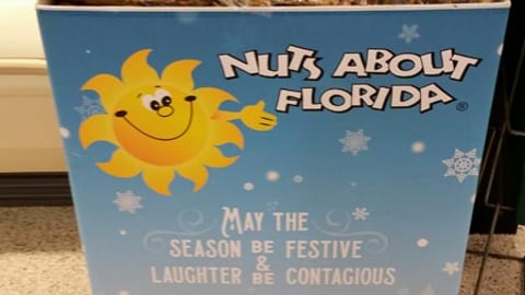 Nuts About Florida 'May The Season' Aisle Display