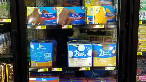 Walmart Blue Bunny Freezer