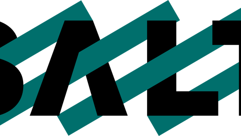 Salt logo