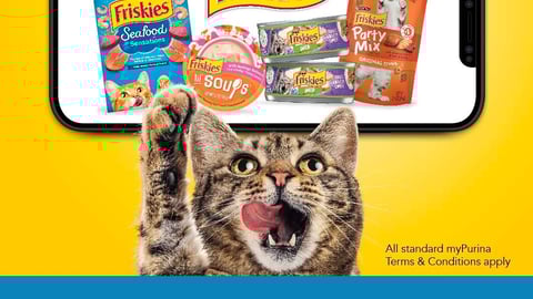 friskies instagram