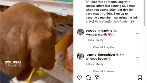 PetSmart 'Treat Rewards Members Month' Instagram Update