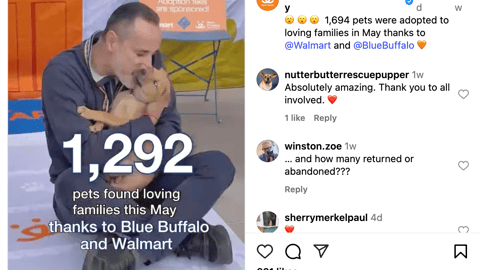 Blue Buffalo Walmart 'Bring Happy Home' Instagram Update