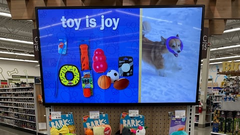 toy