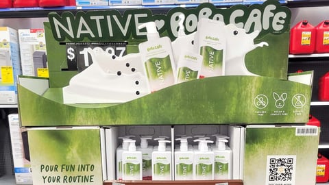 Native Boba Pallet Header