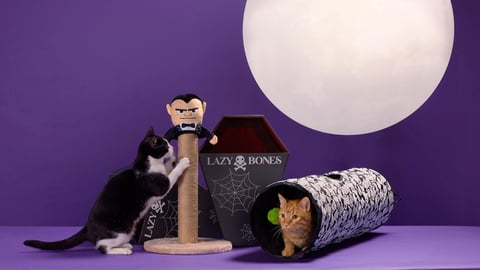 petco halloween