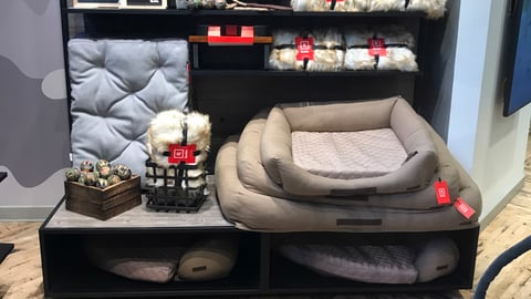 Reddy Dog Bed Display