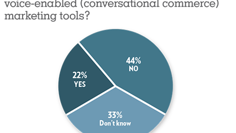 Trends 2019: Is your organization currently developing voice-enabled (conversational commerce) marketing tools?