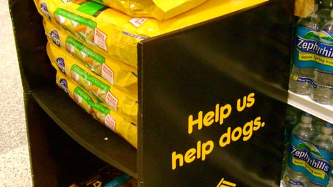 Pedigree Dog Adoption Drive Floorstand