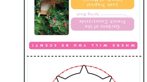 Snuggle Ultra Sweeps Hang Tag