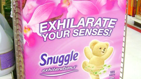 Snuggle Exhilarations Power Wing 