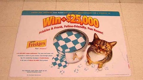Friskies Floor Graphic