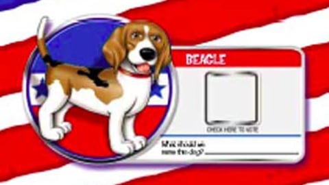 H-E-B/Purina "Top Dog" Ballot