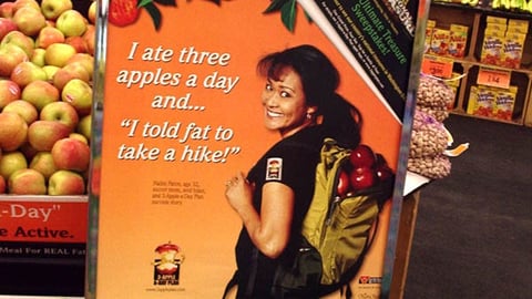 Smith's Lobby Stanchion