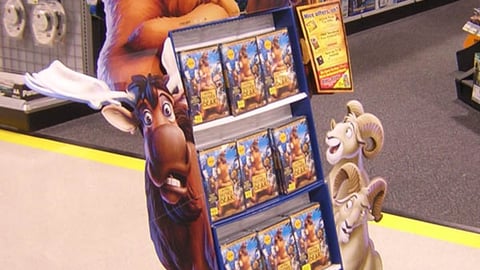 'Brother Bear' Display