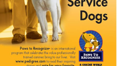 Pedigree 'Paws to Recognize' Ad