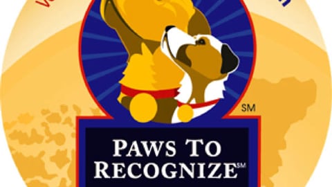 Pedigree 'Paws to Recognize' Button