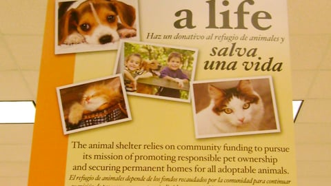 Winn-Dixie 'Save a Life' Ceiling Banner