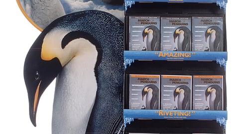 'March of the Penguins' A-Frame Floorstand