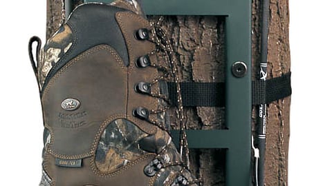 Red Wing Irish Setter