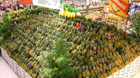 Cub Foods Pineapple Display (Overhead View)