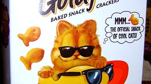 Pepperidge Farm 'Garfield' Packaging