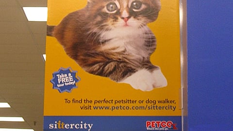 Petco Sittercity Aisle Violator