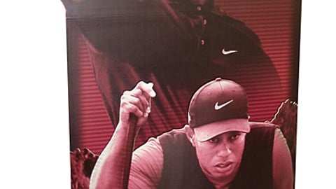 Gatorade Tiger Woods Flex Standee