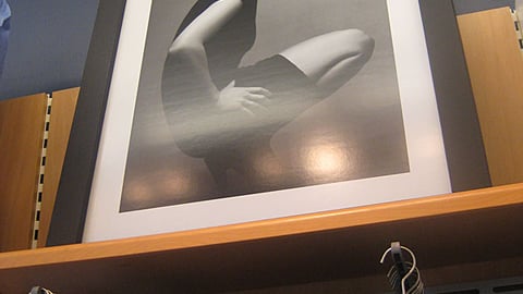 Gap 'Classics Redefined' Portrait