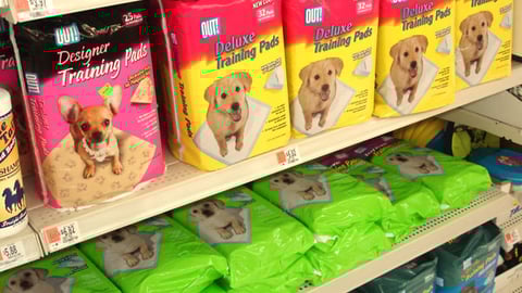 Out! Puppy Training Pad Shelf Set